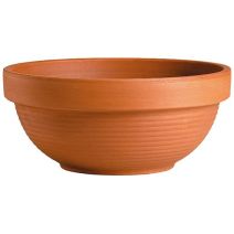 Coupe Giganti Cotto D31,4 H14,3